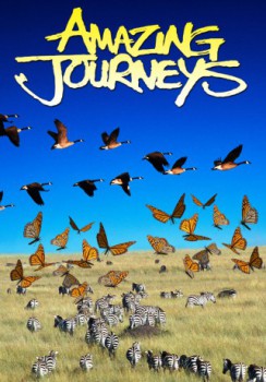 poster Amazing Journeys
        &nbsp;&nbsp;(1999)
        